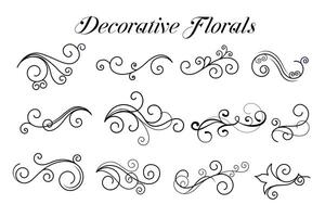 decorativo redemoinho floral enfeites coleção vetor