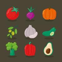 pacote de nove vegetais ícones de alimentos saudáveis vetor