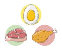 alimentos saudáveis proteínas vetor