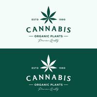Prêmio qualidade cannabis orgânico plantar logotipo retro vintage modelo Projeto. vetor