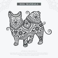 vetor de mandala de cão. elementos decorativos vintage. padrão oriental, ilustração vetorial.