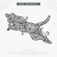 vetor de mandala de cão. elementos decorativos vintage. padrão oriental, ilustração vetorial.