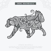 vetor de mandala de cão. elementos decorativos vintage. padrão oriental, ilustração vetorial.