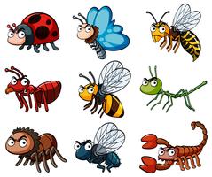 Diferentes tipos de insetos selvagens vetor
