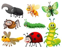 Diferentes tipos de pequenos insetos vetor