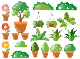 Diferentes tipos de plantas vetor