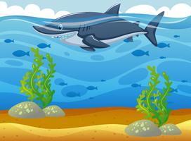 Natação de tubarão selvagem sob o oceano vetor