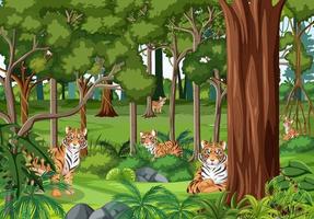 família do tigre no fundo da paisagem da floresta vetor