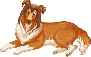 desenho de cão collie áspero em fundo branco vetor