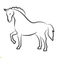 cavalo line art vector design para negócios e empresas