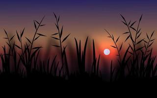 bela paisagem do pôr do sol com silhueta de grama vetor
