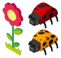 Design 3D para besouros e flor vetor