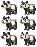 Panda com diferentes expressões faciais vetor