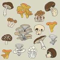Doodle esboço à mão livre desenho coleção de cogumelos vegetais. vetor