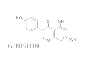genisteína molecular esquelético químico Fórmula vetor