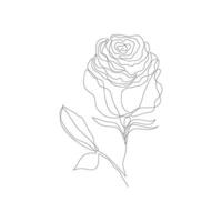 vetor ilustração do uma lindo rosa flor. minimalista contorno desenho. linha arte desenho.