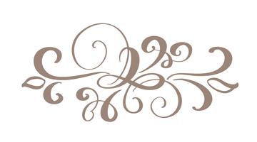 Hand drawn border flourish separator Elementos de designer de caligrafia vetor
