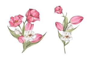 buquê de tulipas e magnólias. composição floral. ilustração em aquarela. vetor