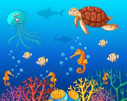 Animais marinhos nadando sob o oceano vetor