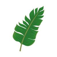 folha de palmeira tropical vetor