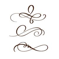 hand drawn flourish separator Elementos de caligrafia. Ilustração vetorial vetor