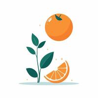 conjunto do laranja desenhos desenho animado ilustração vetor