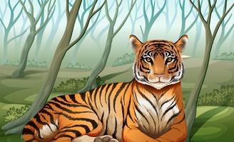 Um tigre assustador na floresta vetor