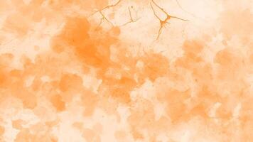 abstrato laranja aguarela fundo. laranja água cor respingo textura vetor