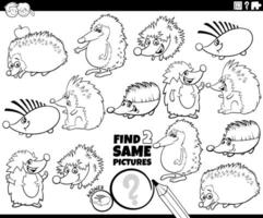 encontrar dois mesmo desenho animado ouriços atividade coloração página vetor