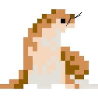 foca desenho animado ícone dentro pixel estilo vetor