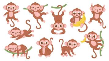 fofa desenho animado selva bebê macaco personagem poses. exótico tropical animal mascote, macaco pulando em árvore, segurando banana e dormindo vetor conjunto