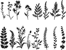 enigmático flor afiação Preto floral vetor ícone elegante tinta jardim botânico fronteira vetor logotipo