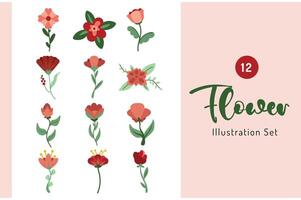 conjunto de ilustração floral vetor