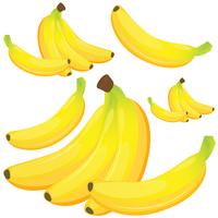 Banana no fundo branco vetor