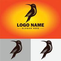 beija Flor logotipo vetor arte ícone gráficos para companhia marca o negócio ícone beija Flor logotipo modelo