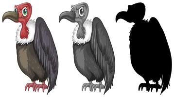Conjunto de design de personagens de abutre vetor
