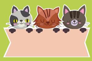 animais de estimação desenhos animados gatos felinos animais layout de banner doméstico vetor