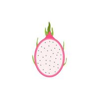 Dragão fruta plano Projeto vetor ilustração. vetor maduro pitaya, suculento tropical fruta, vegetariano comida, mercearia produtos. pitaya, exótico tropical fruta do dragão