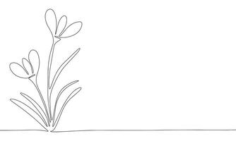 1 linha contínuo flor. linha arte abstrato flores isolado em branco fundo. mão desenhado vetor arte.
