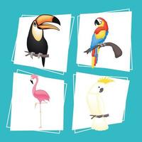 conjunto de desenhos animados de pássaros fofos vetor