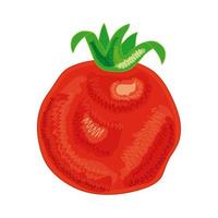tomate vegetal saudável vetor