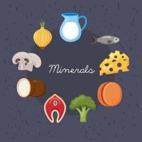 ingredientes minerais ao redor vetor