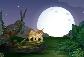 Lince e floresta vetor