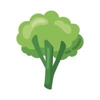 brócolis vegetal fresco vetor