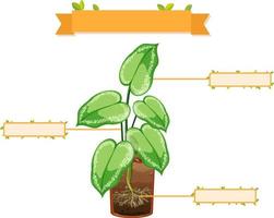 escrever partes de uma planilha de plantas para crianças vetor