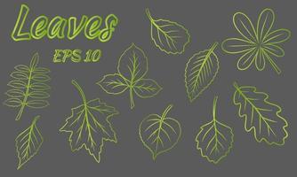 coleção de folhas verdes, folhas de diferentes formas, folhas esculpidas silhueta vetor