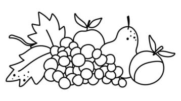 vetor preto e branco arranjo de frutas. contorno bonito horizontal definido com maçãs, pêra, uvas. outono clipart de composição de jardim. ícone de linha de colheita de temporada de outono isolado no fundo branco.