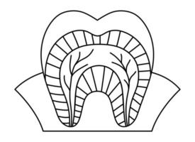 pôster preto e branco da anatomia do dente. esquema da estrutura dos dentes da linha. partes dentais delinear ilustração. modelo de folheto educacional de clínica dentista. esmalte, dentina, imagem de goma ou página para colorir vetor