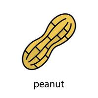 ícone de cor de amendoim. ilustração vetorial isolada vetor