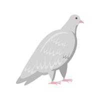 ícone de animal pombo vetor